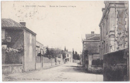NALLIERS (85) Route De Fontenay à Luçon - Autres & Non Classés