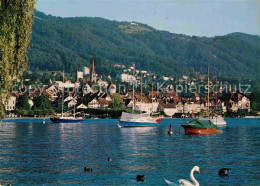 12736187 Zug ZG Blick Ueber Den See Schwan Segelboot Zug - Other & Unclassified