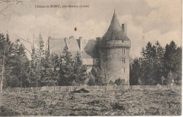 Château De Boisy , Près Roanne ( Loire ) - RARE !!! - Andere & Zonder Classificatie