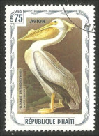 OI-206 Haiti Audubon Oiseaux Birds White Pelican Blanc - Pellicani