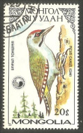 OI-167 Mongolie Woodpecker Pivert - Other & Unclassified