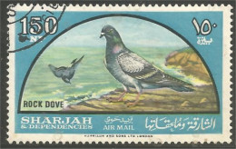 OI-171 Sharjah 150 NP Dove Colombe Pigeon Colomba Duif Taube Paloma - Sonstige & Ohne Zuordnung