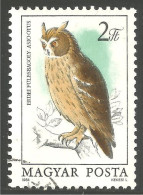 OI-160 Hongrie Hibou Chouette Owl Eule Gufo Uil Buho - Uilen