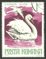 OI-128 Romania Cygne Swan Cisne Schwan Cigno Zwaan - Cisnes