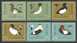 OI-123 Polska Canards Ducks Ente Anatra Pato Eend MNH ** Neuf SC - Entenvögel