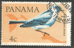 OI-93 Panama Oiseau Bleu Bird Uccello Vogel - Autres & Non Classés