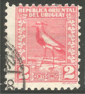 OI-87 Uruguay Oiseau Bird Uccello Vogel - Autres & Non Classés