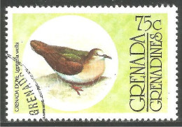 OI-69b Grenada Dove Colombe Pigeon Colomba Duif Taube Paloma - Piccioni & Colombe