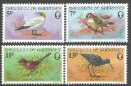 OI-70 Guernnsey Oiseaux Mer Sea Birds MNH ** Neuf SC - Andere & Zonder Classificatie