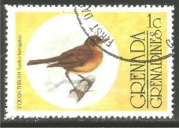 OI-67a Grenada Oiseau Cocoa Thrush Bird Passerine Passereau - Altri & Non Classificati