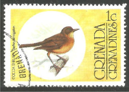 OI-67b Grenada Oiseau Cocoa Thrush Bird Passerine Passereau - Sonstige & Ohne Zuordnung