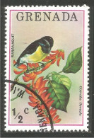 OI-60c Grenada Oiseau Passereau Bananaquit Bird Vogel - Zangvogels