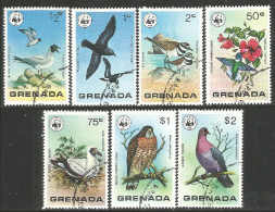 OI-56d Grenada Oiseau Bird Uccello Vogel Aigle Eagle Adler Adelaar Aquila - Aigles & Rapaces Diurnes