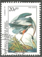 OI-52b Guinea Audubon Heron Garça-real Garza Reiher Reiger - Gru & Uccelli Trampolieri