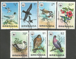 OI-56a Grenada Oiseau Bird Uccello Vogel - Andere & Zonder Classificatie