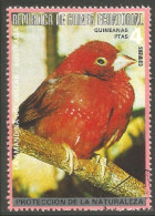 OI-50 Guinea Oiseau Bird Uccello Vogel Cardinal - Andere & Zonder Classificatie