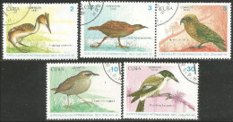 OI-44c Cuba New Zealand 90 Oiseau Bird Uccello Vogel - Andere & Zonder Classificatie