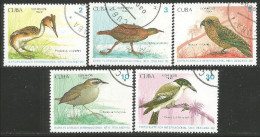 OI-44b Cuba New Zealand 90 Oiseau Bird Uccello Vogel - Andere & Zonder Classificatie