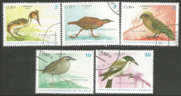 OI-44e Cuba New Zealand 90 Oiseau Bird Uccello Vogel - Otros & Sin Clasificación