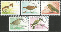 OI-44a Cuba New Zealand 90 Oiseau Bird Uccello Vogel - Used Stamps