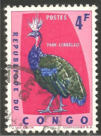 OI-31a Congo Paon Peacock Pfau Pavone Pavo Pacao Pauw - Andere & Zonder Classificatie