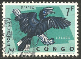 OI-32b Congo Oiseau Calaos Bird - Altri & Non Classificati
