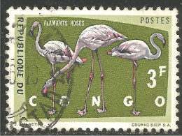 OI-30a Congo Flamant Rose Flamingo Flamenco Fenicottero - Andere & Zonder Classificatie