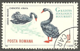 OI-24 Romania Cygne Noir Black Swan Cisne Negro Schwarzer Schwan Cigno Nero Zwarte Zwaan - Autres & Non Classés