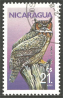 OI-8 Nicaragua Hibou Chouette Owl Eule Gufo Uil Buho - Uilen