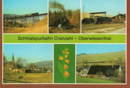 (Allemagne) SCHMALSPURBAHN CRANZAHL OBERWIESENTHAL, Locomotive Train Vapeur Wagon Zug Railway LOCOMOTIVE - Oberwiesenthal