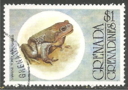 RP-15b Grenada Grenouille Frog Rana Kikker Frosch - Frogs