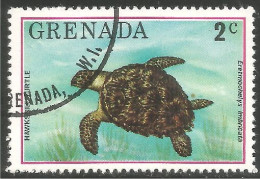 RP-14a Grenada Tortue Flatback Turtle Tortuga Schildkröte Zeeschildpad Tartaruga - Schildkröten