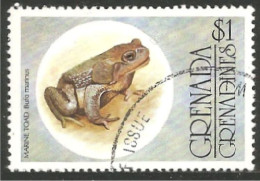 RP-12 Grenada $1.00 Grenouille Frog Rana Kikker Frosch - Kikkers