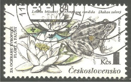 RP-18 Ceskoslovensko Grenouille Frog Rana Kikker Frosch - Frogs