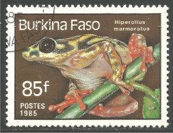 RP-17 Burkina Faso Grenouille Frog Rana Kikker Frosch - Grenouilles