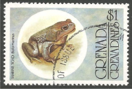 RP-15c Grenada Grenouille Frog Rana Kikker Frosch - Kikkers