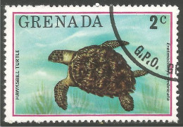 RP-14b Grenada Tortue Flatback Turtle Tortuga Schildkröte Zeeschildpad Tartaruga - Tortues