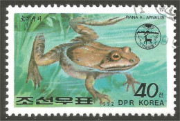 RP-9 Corée Grenouille Frog Rana Kikker Frosch - Ranas