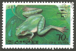 RP-5 Corée Grenouille Frog Rana Kikker Frosch - Ranas