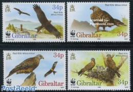 Gibraltar 1996 WWF Birds 4v, Mint NH, Nature - Birds - World Wildlife Fund (WWF) - Gibraltar