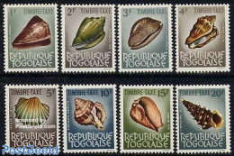 Togo 1964 Postage Due, Shells 8v, Mint NH, Nature - Shells & Crustaceans - Marine Life