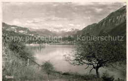 12719819 Brienz BE Brienzer See Alpenpanorama Brienz - Other & Unclassified