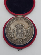 Université De Bordeaux Médaille Jeton 1899 - Profesionales / De Sociedad
