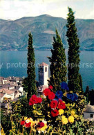 12719187 Brissago TI Kirchturm Ueber Lago-Maggiore Brissago - Autres & Non Classés