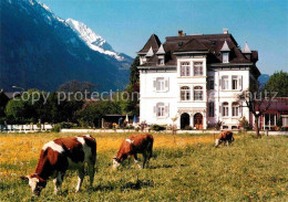 12715719 Interlaken BE Mon Bijou Kuehe Interlaken - Other & Unclassified