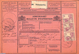 Suriname, Colony 1928 Parcel Card Paramaribo-USA, Postal History - Other & Unclassified