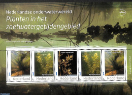 Netherlands - Personal Stamps TNT/PNL 2023 Underwaterworld 5v M/s, Mint NH, Nature - Flowers & Plants - Other & Unclassified