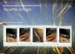 Netherlands - Personal Stamps TNT/PNL 2023 Underwaterworld 5v M/s, Mint NH, Nature - Fish - Poissons