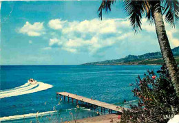 Antilles - La Mer Des Caraibes - CPM - Voir Scans Recto-Verso - Otros & Sin Clasificación