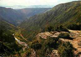 48 - Les Gorges Du Tarn - Le Point Sublime - Flamme Postale - CPM - Voir Scans Recto-Verso - Gorges Du Tarn